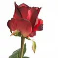 Kwiat sztuczny dekoracyjny RÓŻA Eurofirany
