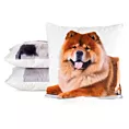 Poszewka na poduszkę 45x45 cm welwetowa zdobiona nadrukiem psa biało, jasnobrązowa ANIMAL Eurofirany