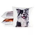 Poszewka na poduszkę 45x45 cm welwetowa zdobiona nadrukiem psa biało, czarna ANIMAL Eurofirany