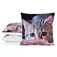 Poszewka na poduszkę 45x45 cm welwetowa zdobiona nadrukiem uroczego kota szara, jasnopopielata ANIMAL Eurofirany