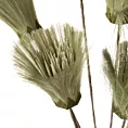 Sztuczny kwiat dekoracyjny TRAWA PAMPASOWA Eurofirany