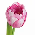 Kwiat sztuczny dekoracyjny TULIPAN Eurofirany