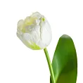 Kwiat sztuczny dekoracyjny TULIPAN Eurofirany