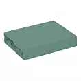 Prześcieradło jersey z gumką 120x200 cm z bawełny kolor miętowy 140 g/m2 ADELA Eurofirany