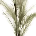 Sztuczny kwiat dekoracyjny TRAWA PAMPASOWA Eurofirany