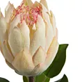 Kwiat sztuczny dekoracyjny PROTEA kremowy Eurofirany