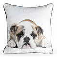 Poszewka na poduszkę 45x45 cm welwetowa biała, jasnoniebieska z motywem psa ANIMAL 81 Eurofirany