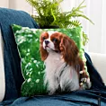 Poszewka na poduszkę 45x45 cm welwetowa zdobiona nadrukiem psa zielon, biała ANIMAL Eurofirany