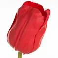 TULIPAN kwiat sztuczny dekoracyjny Eurofirany