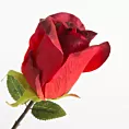 Kwiat sztuczny dekoracyjny RÓŻA Eurofirany