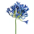 Kwiat sztuczny dekoracyjny AGAPANT niebieski Eurofirany