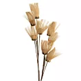 Sztuczny kwiat dekoracyjny TRAWA PAMPASOWA Eurofirany