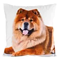 Poszewka na poduszkę 45x45 cm welwetowa zdobiona nadrukiem psa biało, jasnobrązowa ANIMAL Eurofirany