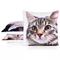 Poszewka na poduszkę 45x45 xm welwetowa zdobiona nadrukiem uroczego kota biało, beżowa ANIMAL Eurofirany