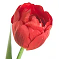 Kwiat sztuczny dekoracyjny TULIPAN Eurofirany