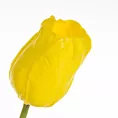 TULIPAN kwiat sztuczny dekoracyjny Eurofirany
