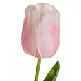 TULIPAN kwiat sztuczny dekoracyjny Eurofirany