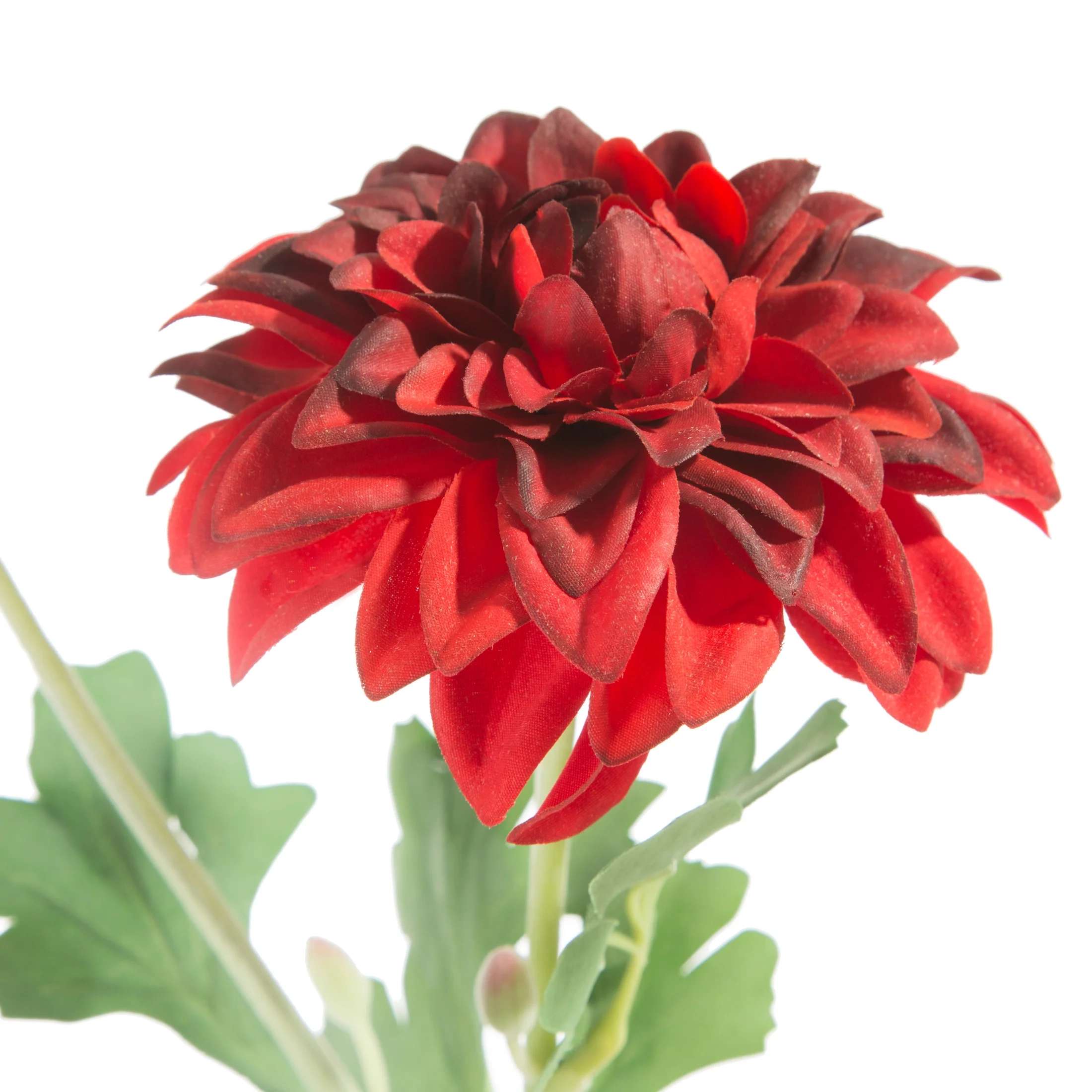 Kwiat sztuczny dalia czerwono, bordowy 57 cm