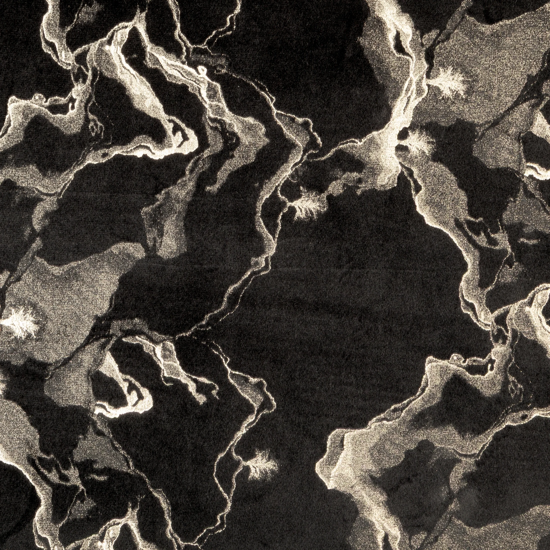 Zasłona czarno, szampańska welwetowa zdobiona błyszczącym nadrukiem 140x250 cm przelotka - RAJA Eurofirany