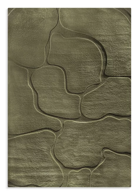 Dywan 120x170 cm oliwkowy wytłaczany z organicznym wzorem ALBA6 Eurofirany