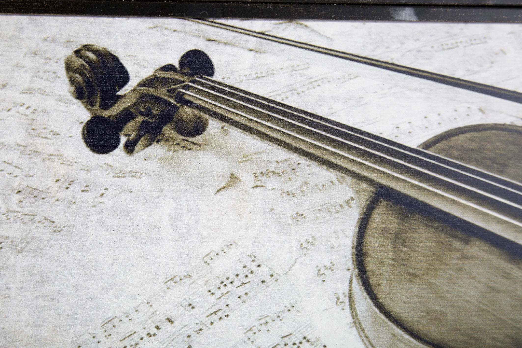 Obraz VIOLIN czarno - biały Eurofirany
