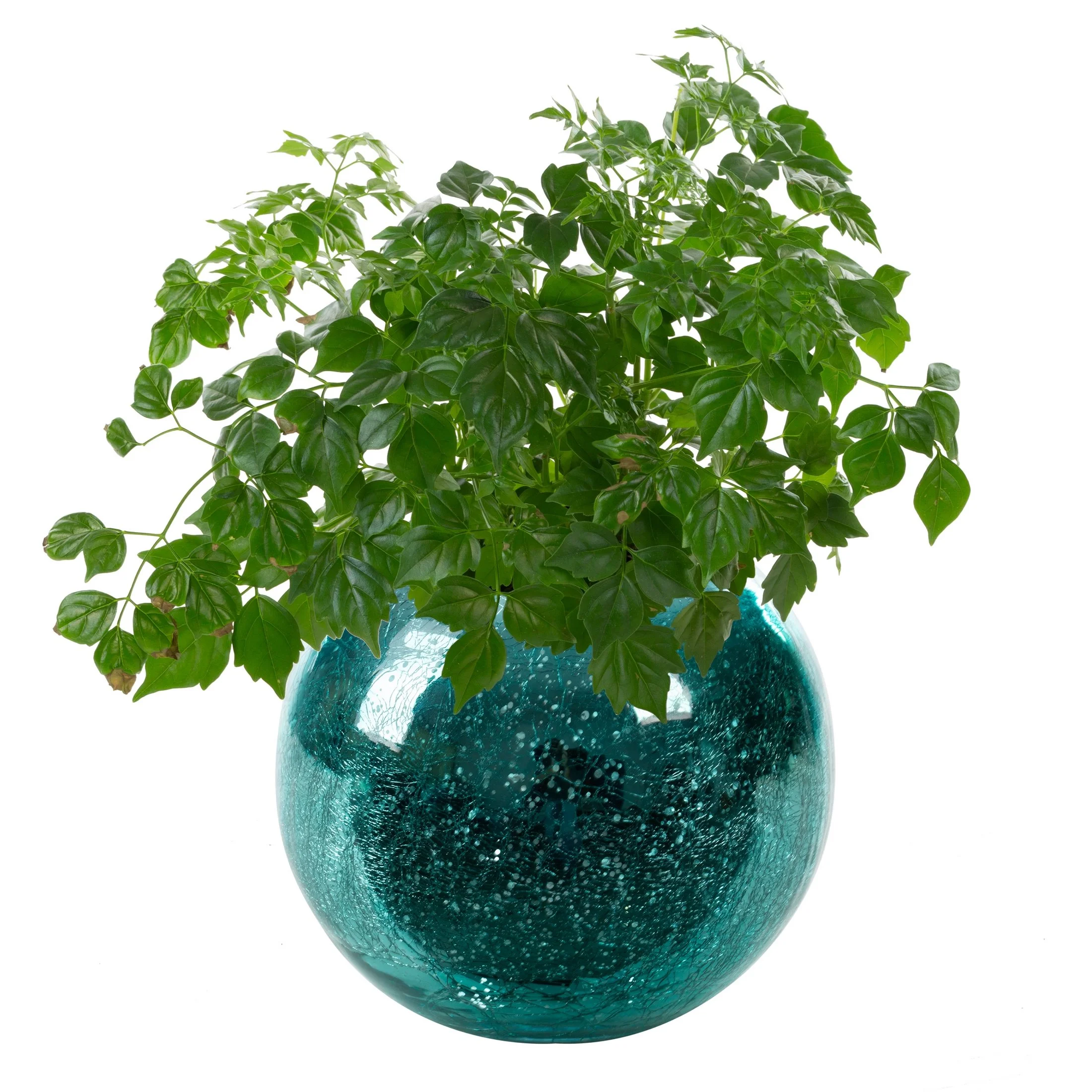 VERRE TURKUSOWA OSŁONKA NA DONICZKĘ ZE SZKŁA ARTYSTYCZNEGO 20x16 cm EUROFIRANY