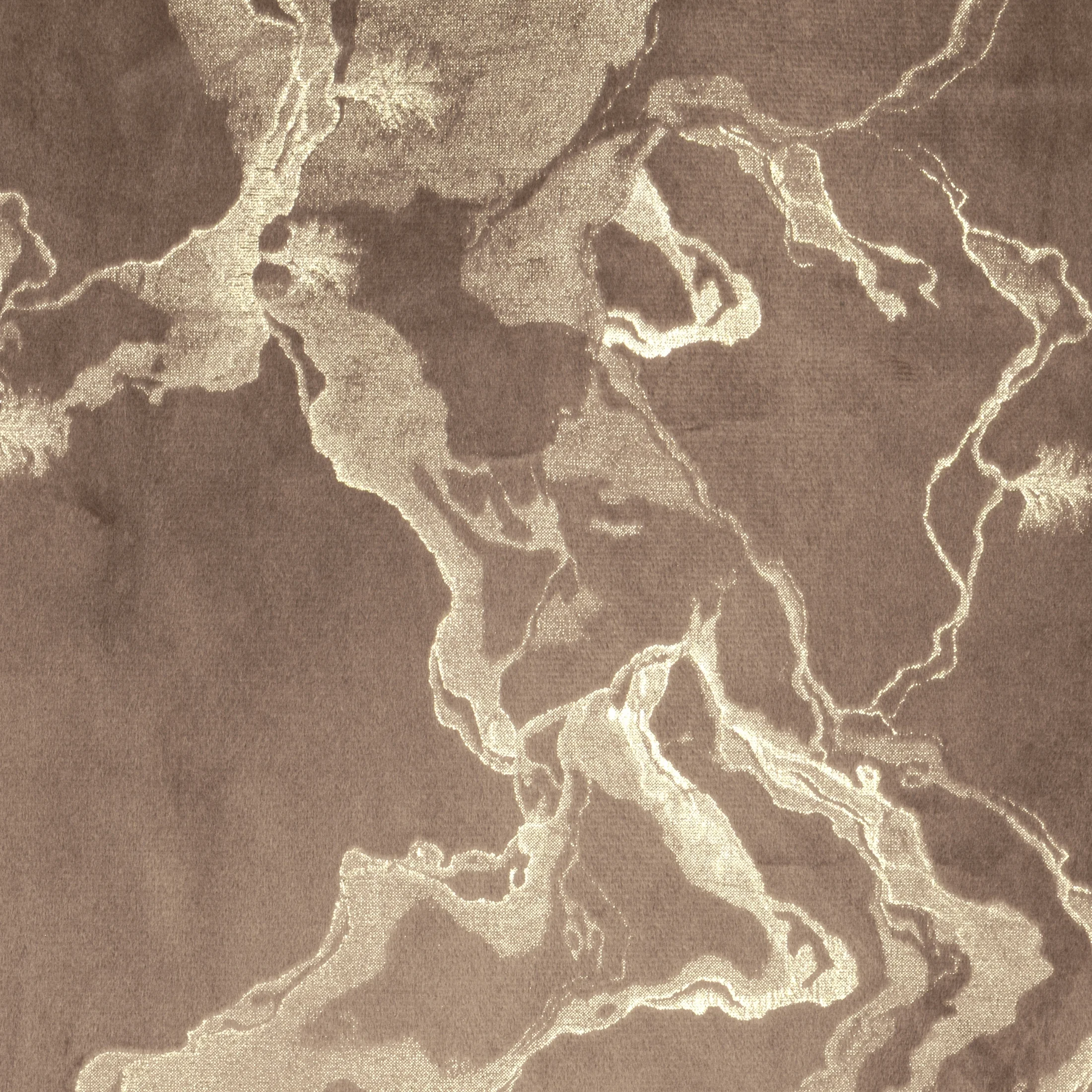 Zasłona brązowo, szampańska welwetowa zdobiona błyszczącym nadrukiem 140x250 cm przelotka - RAJA Eurofirany